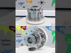 सूखी चलती खाद्य ग्रेड अजिगरर यांत्रिक सील